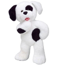 Load image into Gallery viewer, Build-a-Bear + In House Session Time