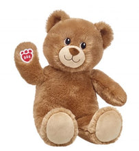 Load image into Gallery viewer, Pay it Forward: Build-a-Bear
