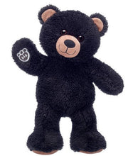 Load image into Gallery viewer, Build-a-Bear + In House Session Time
